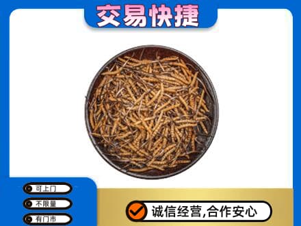 徐州睢宁县高价回收散虫草